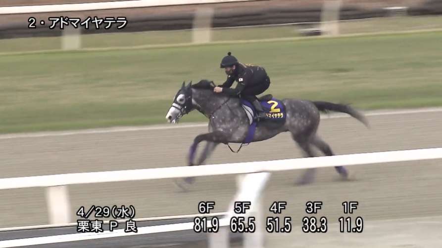 天皇賞春2026 追い切り