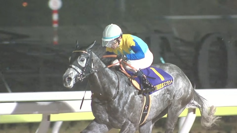 東京スプリント2026 ドラゴンウェルズ