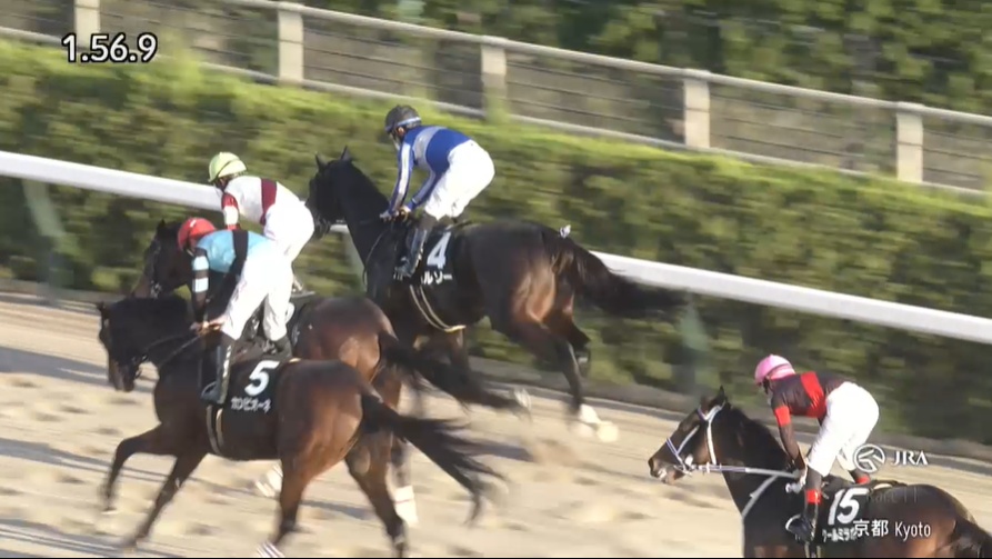 アンタレスステークス2026出走予定馬 ムルソー