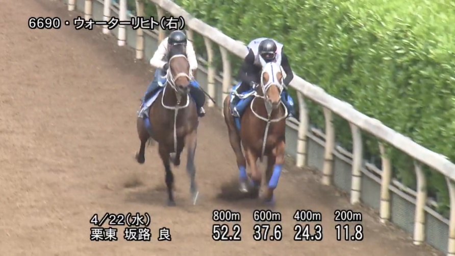 マイラーズカップ2026 追い切り