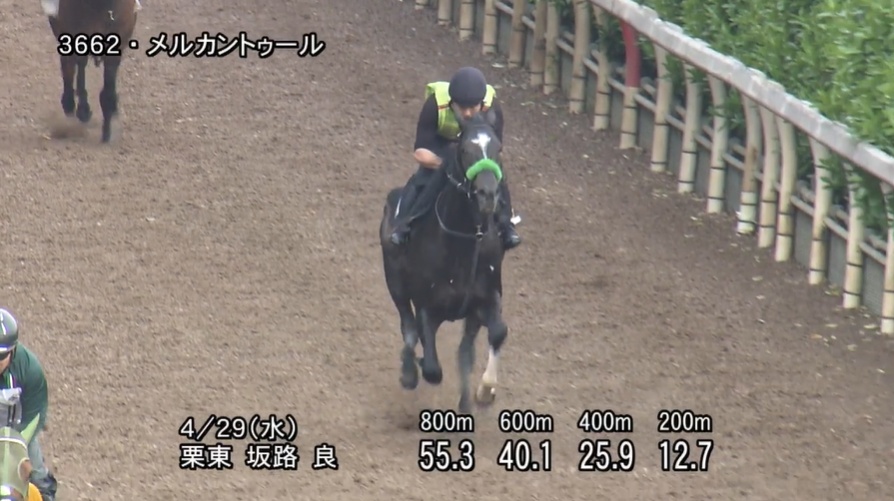 ユニコーンステークス2026 追い切り