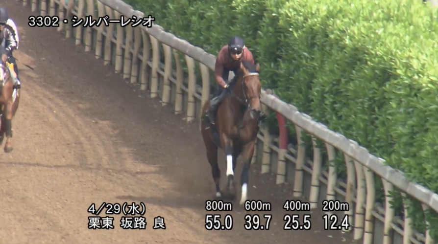 ユニコーンステークス2026 追い切り