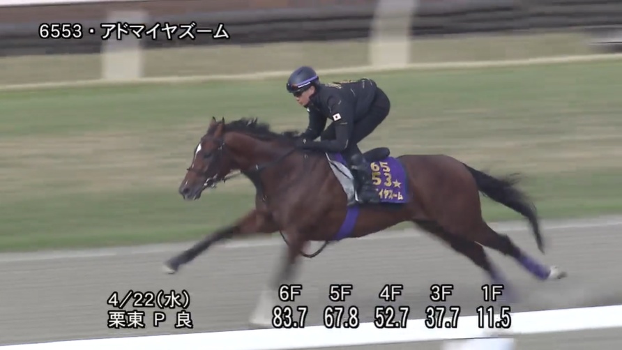 マイラーズカップ2026 追い切り