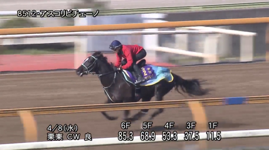 阪神牝馬ステークス2026 追い切り