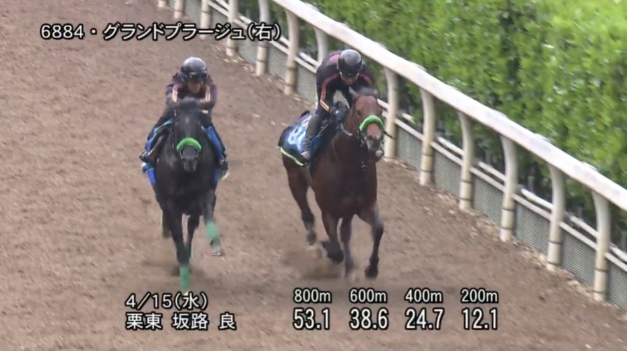 アンタレスステークス2026 追い切り