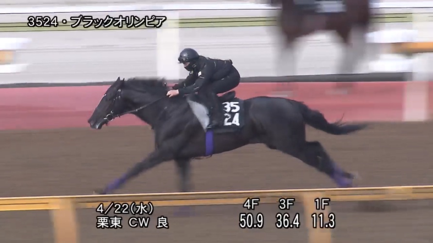 青葉賞2026 追い切り