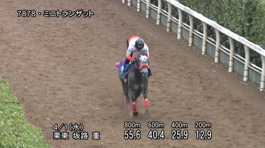 ダービー卿CT 2026 追い切り