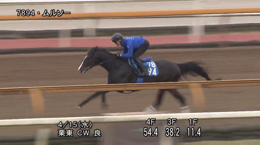 アンタレスステークス2026 追い切り