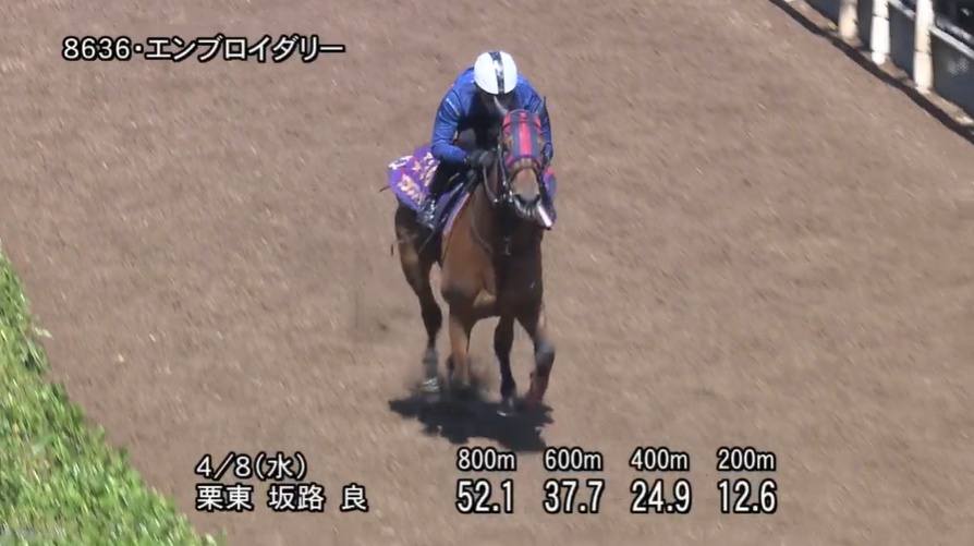阪神牝馬ステークス2026 追い切り