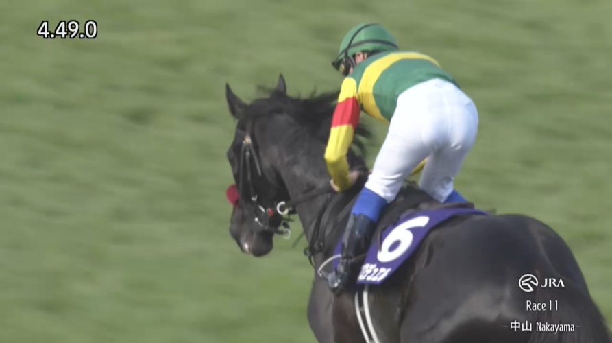 中山グランドジャンプ2026 エコロデュエル