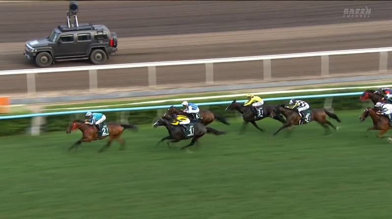 クイーンエリザベス2世カップ2026 ロマンチックウォリアー