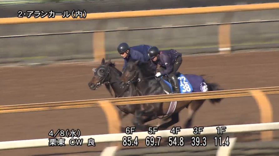 桜花賞2026 追い切り