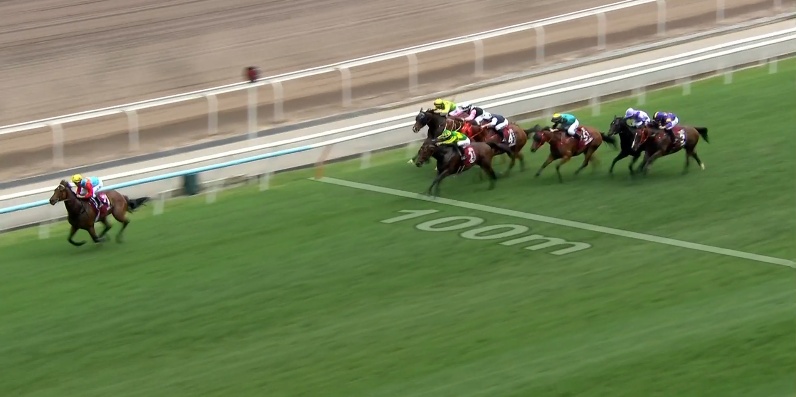 チェアマンズスプリントプライズ2026 カーインライジング