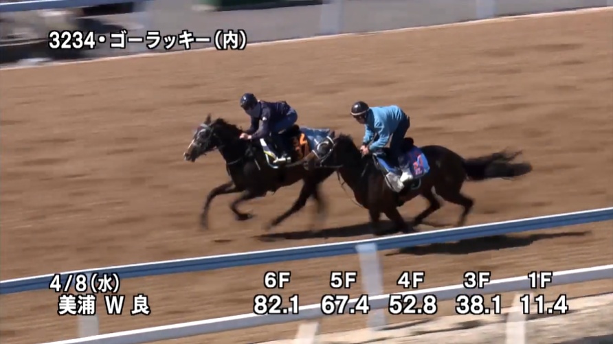 ニュージーランドトロフィー2026 追い切り