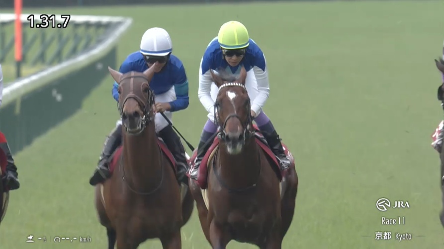 マイラーズカップ2026 アドマイヤズーム