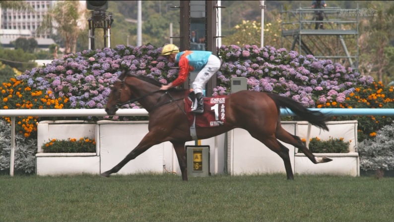 チェアマンズスプリントプライズ2026 カーインライジング