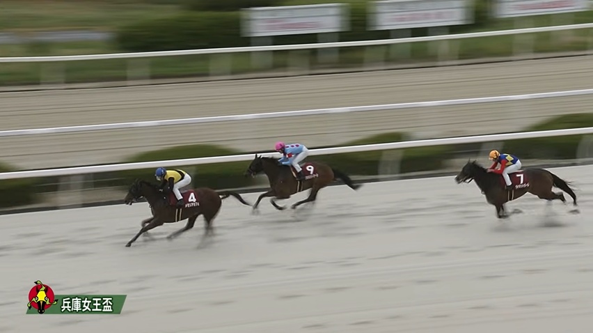 兵庫女王盃2026 メモリアカフェ