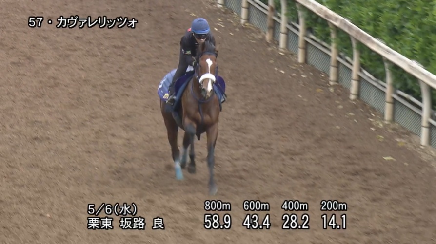 NHKマイルカップ2026 追い切り