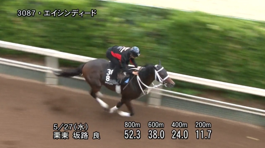 葵ステークス2026 追い切り