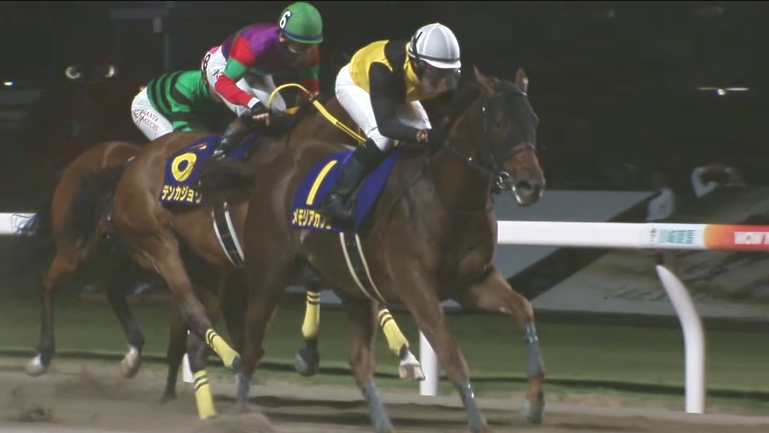エンプレス杯2026 メモリアカフェ