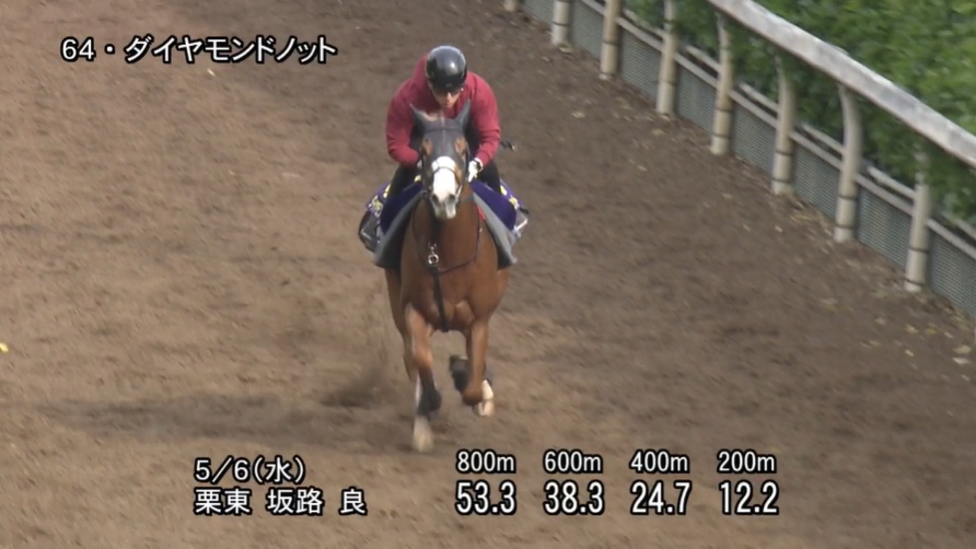 NHKマイルカップ2026 追い切り