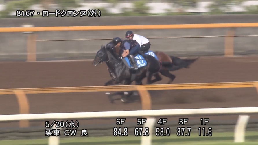 平安ステークス2026 追い切り