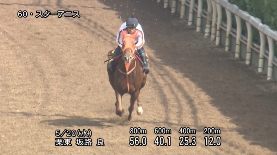 オークス2026 追い切り