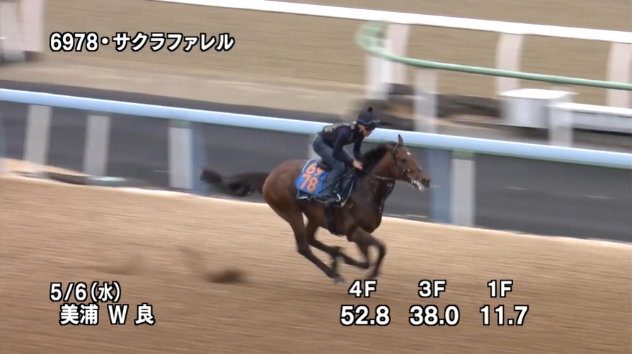 エプソムカップ2026 追い切り