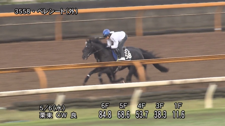 京都新聞杯2026 追い切り