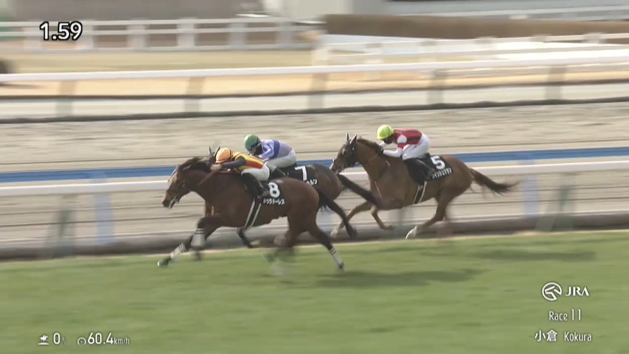 新潟大賞典2026出走予定馬 ドゥラドーレス