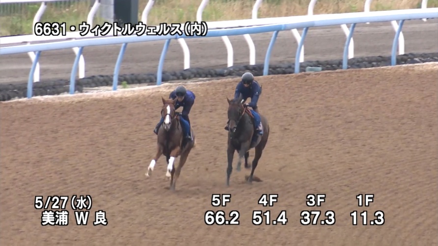 目黒記念2026 追い切り
