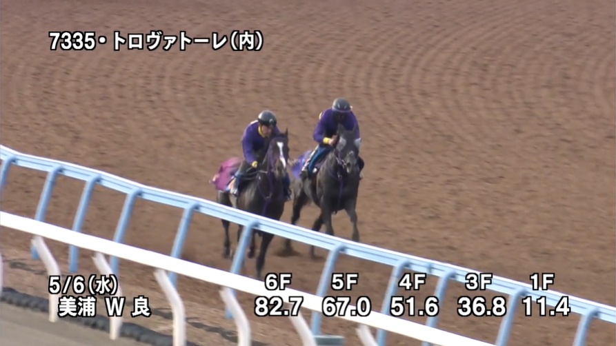 エプソムカップ2026 追い切り