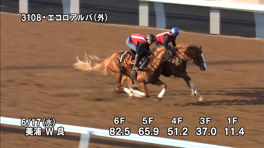 しらさぎステークス2026 追い切り