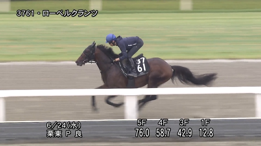 ラジオNIKKEI賞2026 追い切り