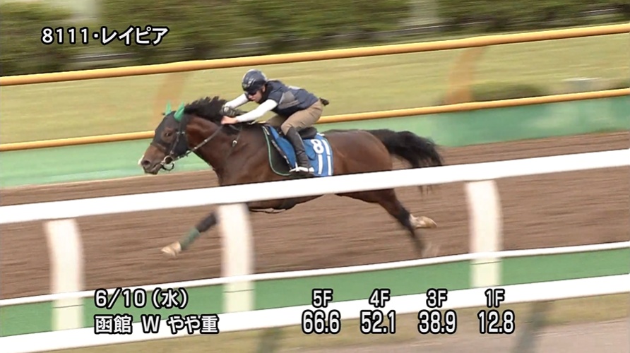 函館スプリントステークス2026 追い切り
