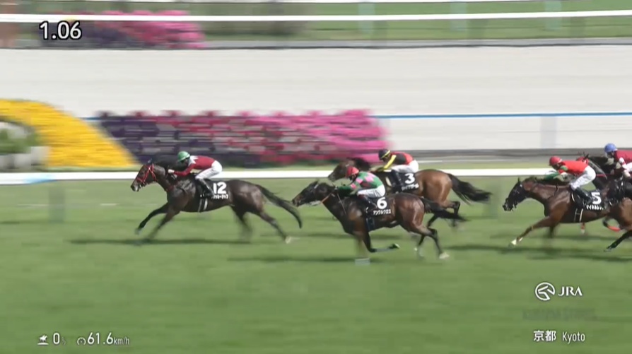 北九州記念2026出走予定馬 フリッカージャブ