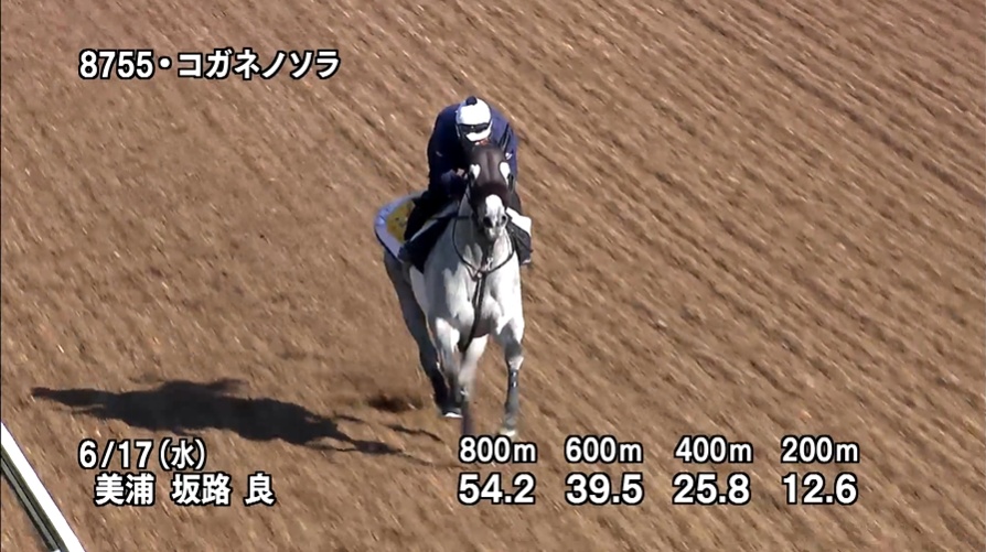 府中牝馬ステークス2026 追い切り