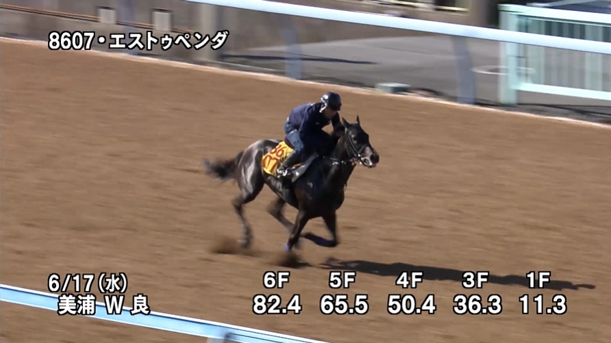 府中牝馬ステークス2026 追い切り