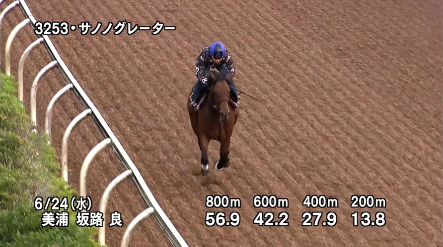 ラジオNIKKEI賞2026 追い切り