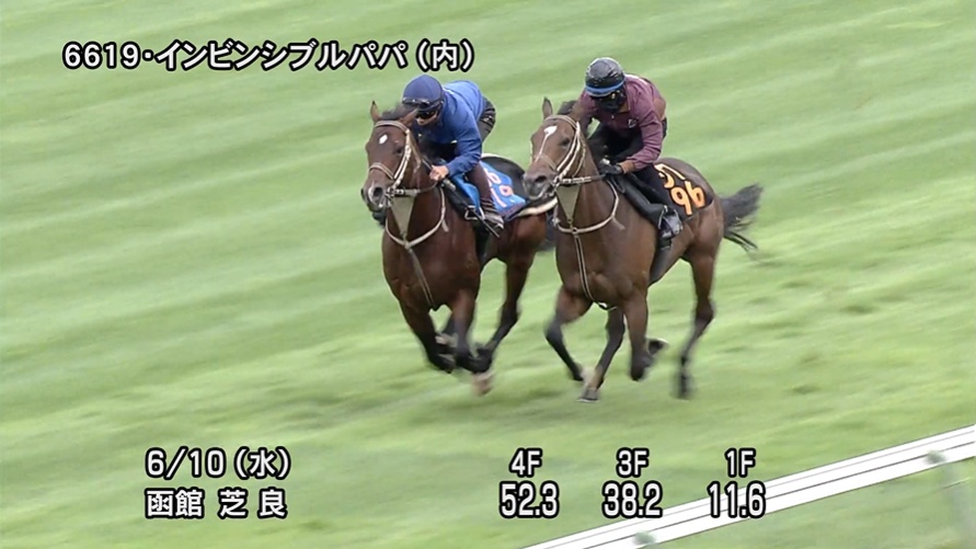 函館スプリントステークス2026 追い切り
