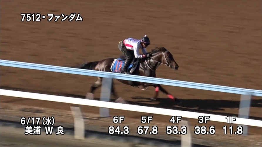 しらさぎステークス2026 追い切り