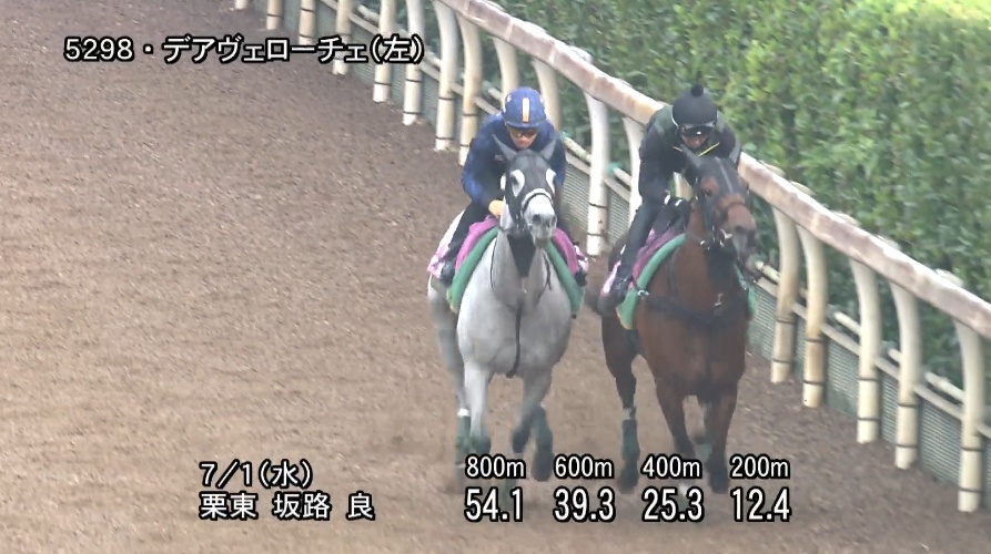 北九州記念2026 追い切り