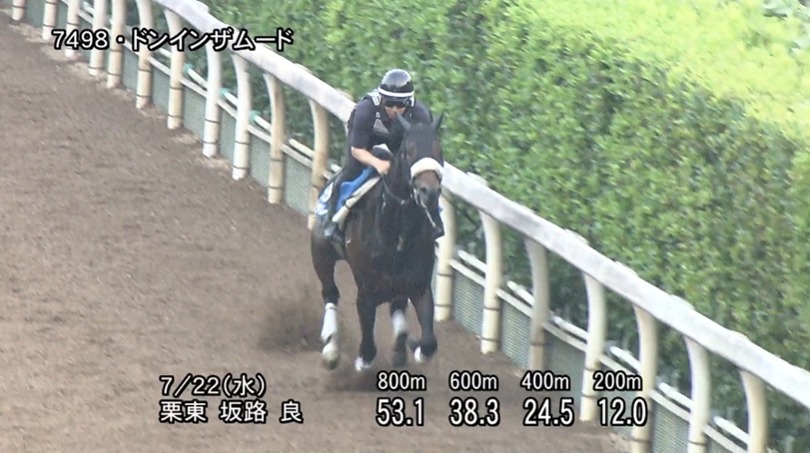 東海ステークス2026 追い切り