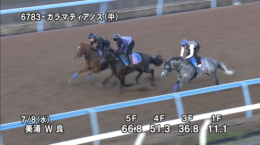 七夕賞2026 追い切り