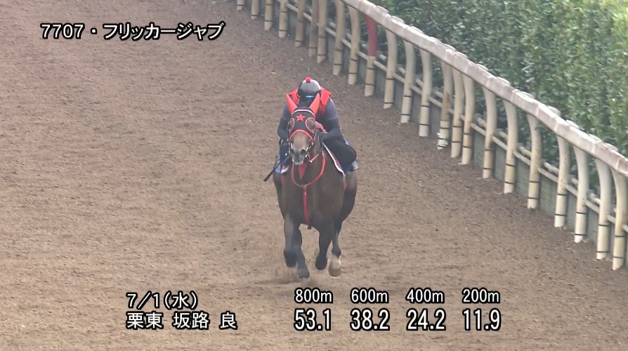 北九州記念2026 追い切り