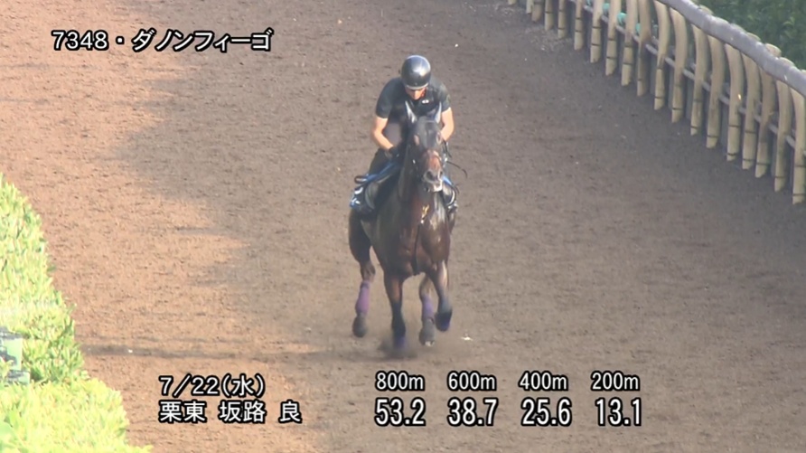 東海ステークス2026 追い切り