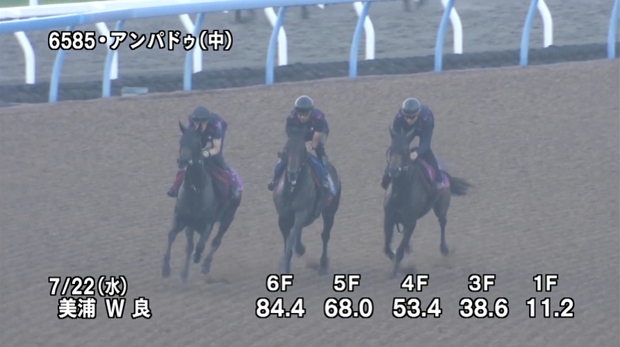 関屋記念2026 追い切り
