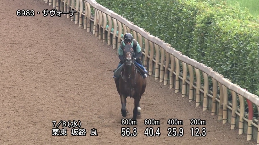 七夕賞2026 追い切り