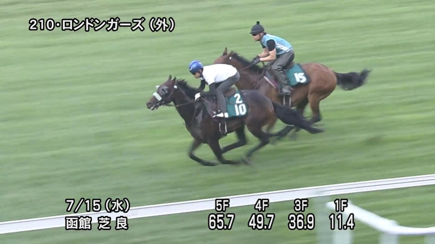 函館2歳ステークス2026 追い切り
