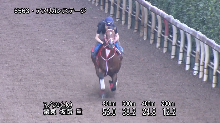 アイビスサマーダッシュ2026 追い切り